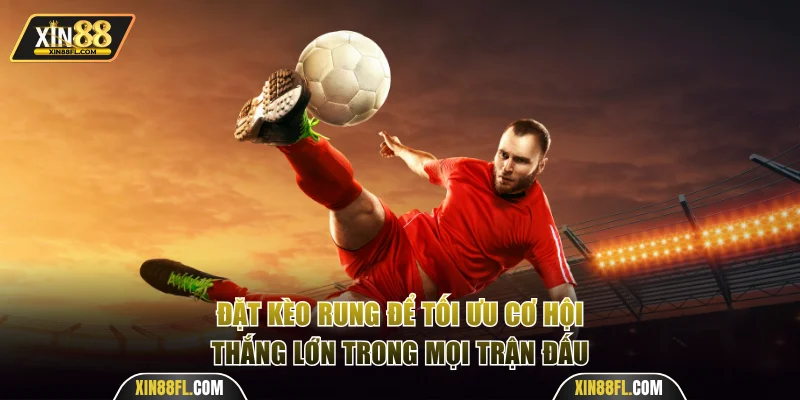 Đặt kèo rung để tối ưu cơ hội thắng lớn