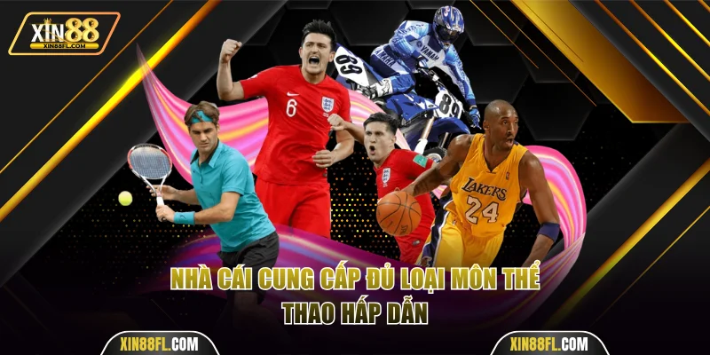 Nhà cái cung cấp đủ loại môn thể thao hấp dẫn